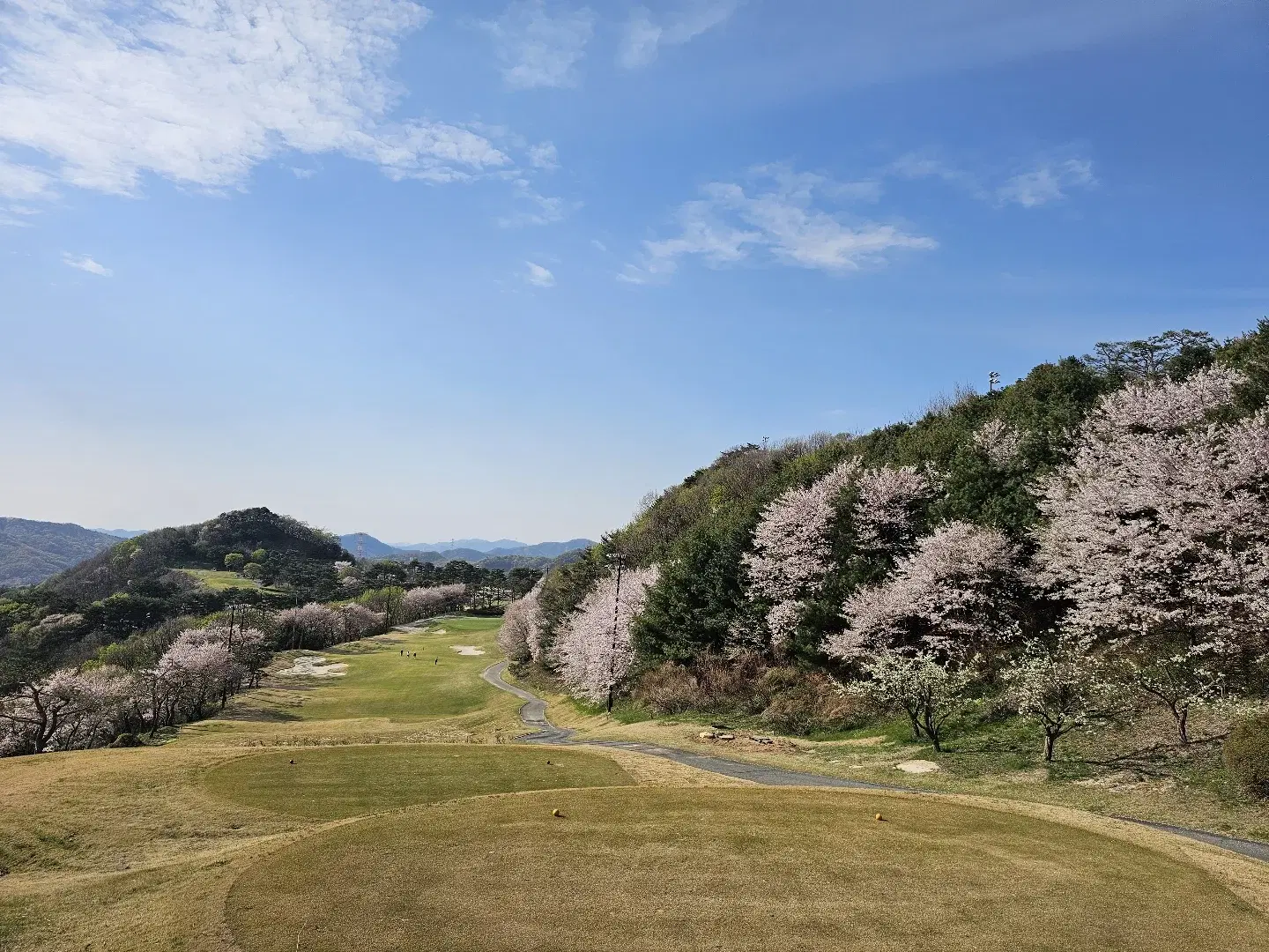 안성베네스트 CC