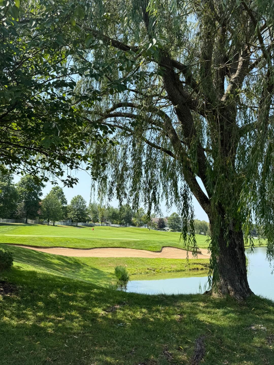 Hamlet Willow Creek CC