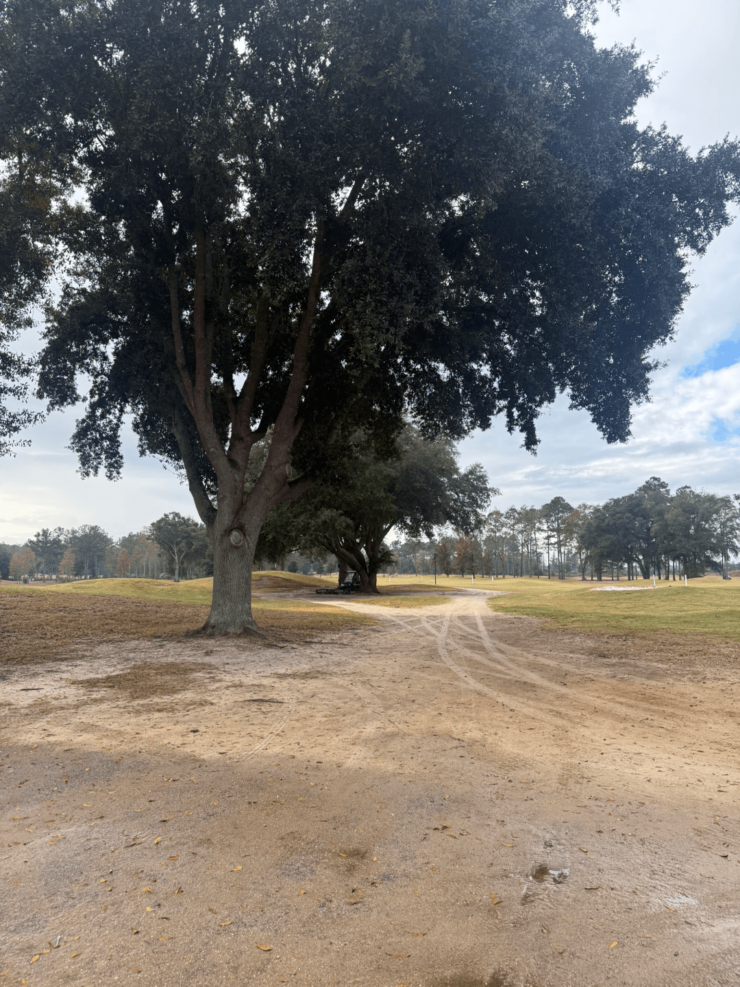 Black Creek Club